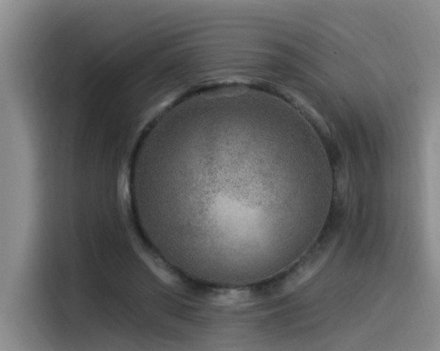 X0000115530398200911061444