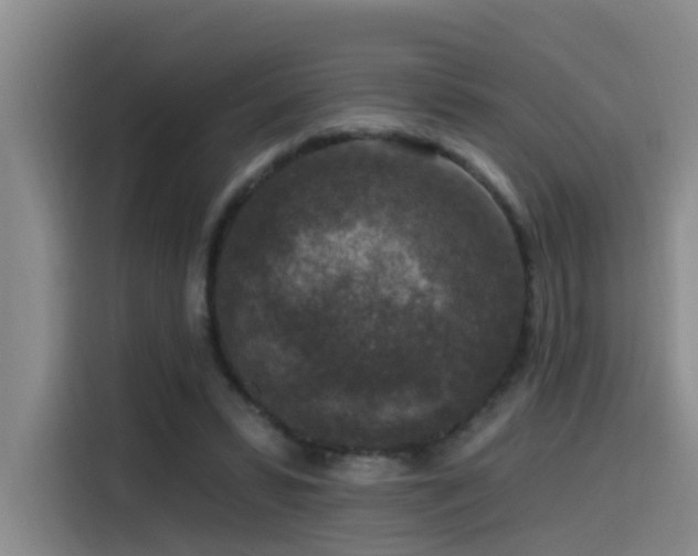 X0000115530399200911061444