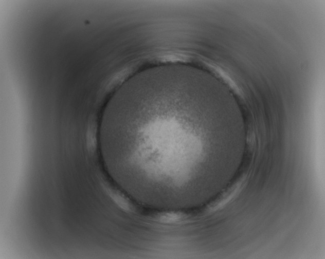 X0000115530402200911061444