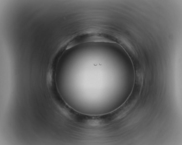 X0000115530404200911061444