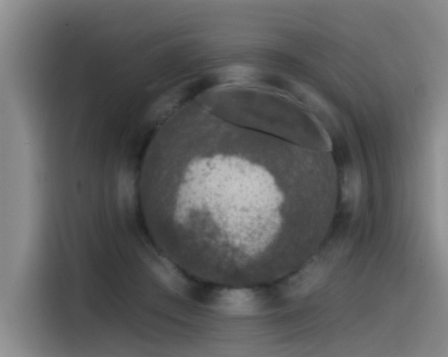 X0000115530409200911061444