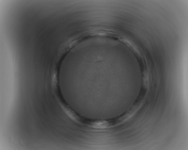 X0000115530410200911061444