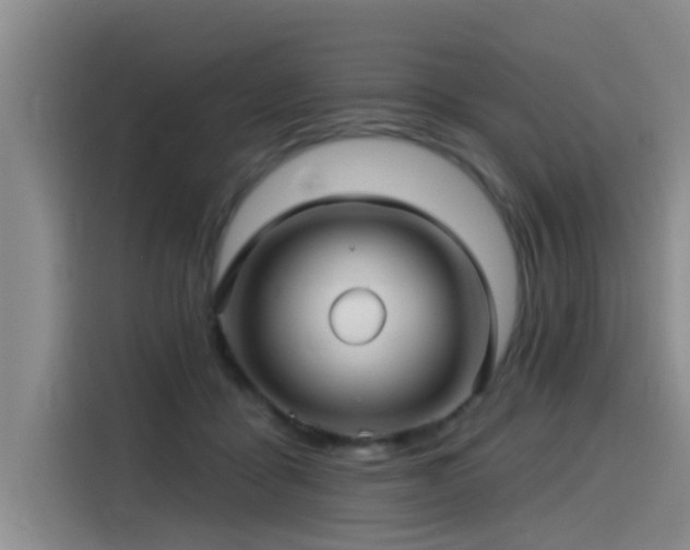 X0000115530411200911061444