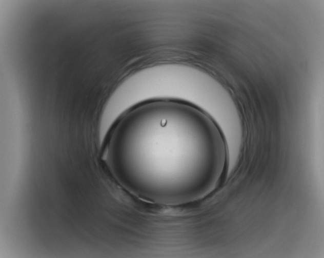 X0000115530413200911061444