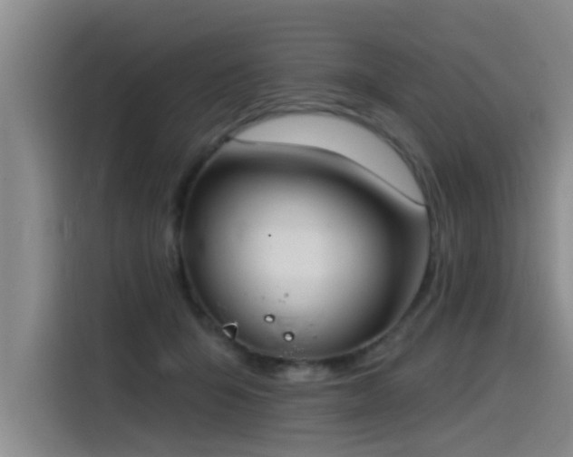 X0000115530415200911061444