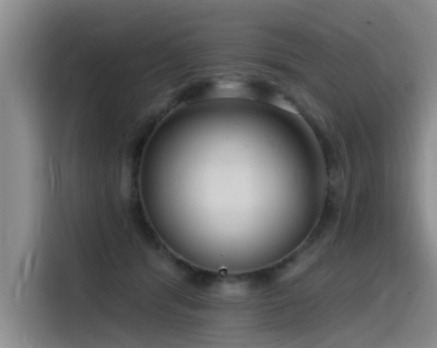 X0000115530416200911061444