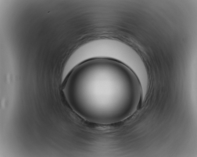 X0000115530417200911061444