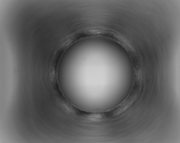 X0000115530418200911061444