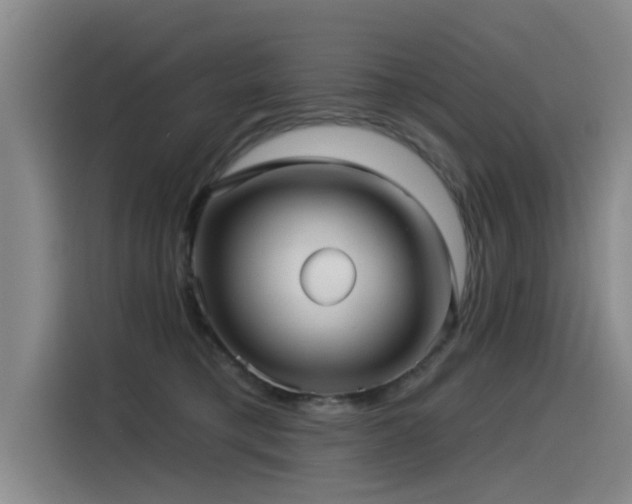 X0000115530421200911061444