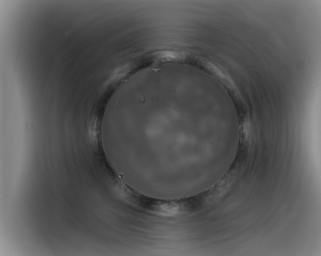 X0000115530423200911061444