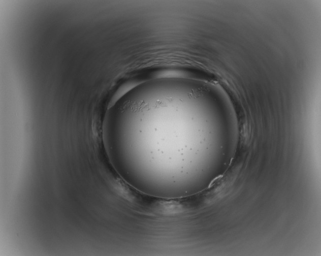 X0000115530424200911061444