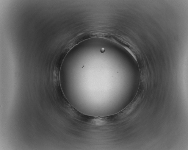 X0000115530425200911061444