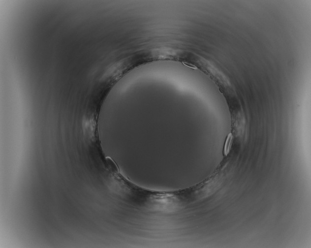 X0000115530427200911061444