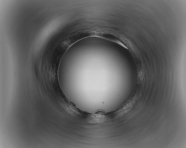 X0000115530429200911061444