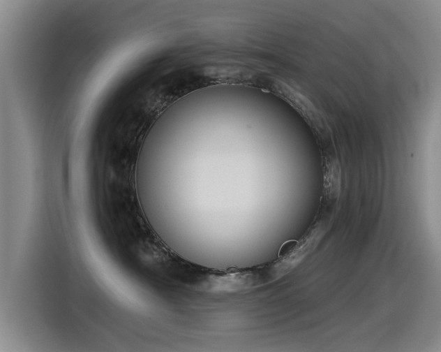 X0000115530430200911061444