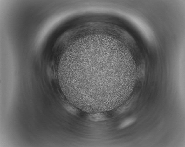 X0000115530431200911061444