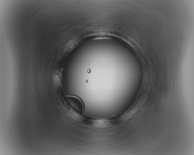 X0000115530432200911061444