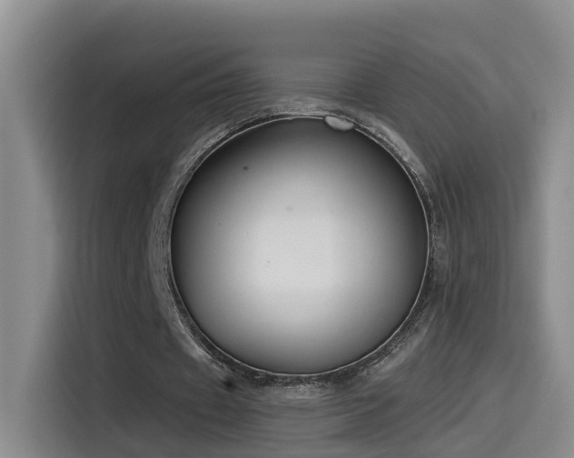 X0000115530433200911061443