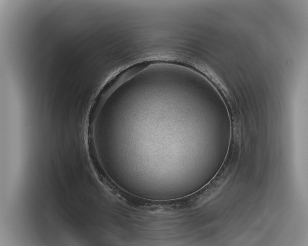 X0000115530434200911061443