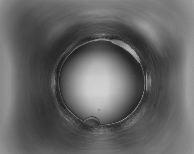 X0000115530435200911061443