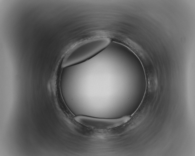 X0000115530436200911061443