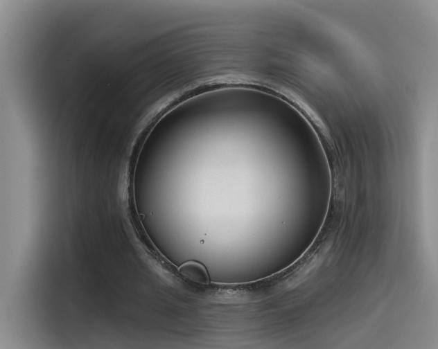 X0000115530437200911061443