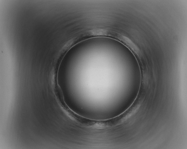 X0000115530441200911061443