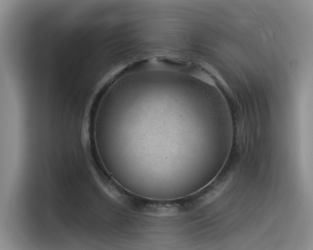 X0000115530443200911061443