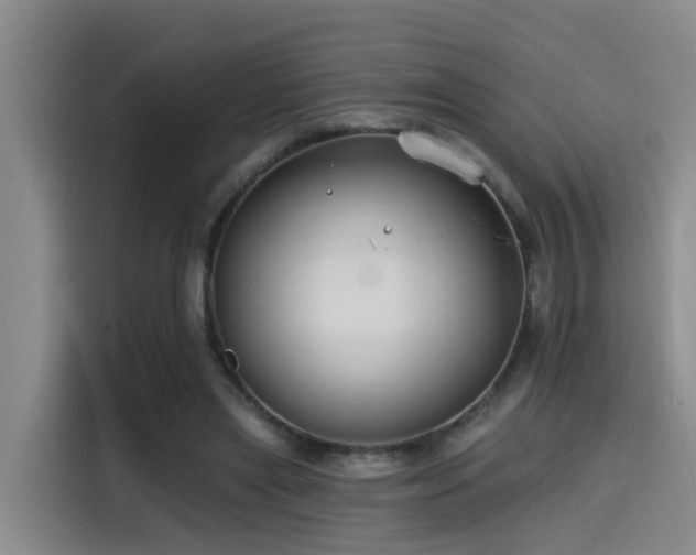 X0000115530445200911061443