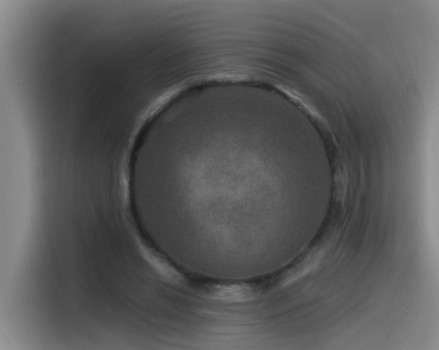 X0000115530446200911061443