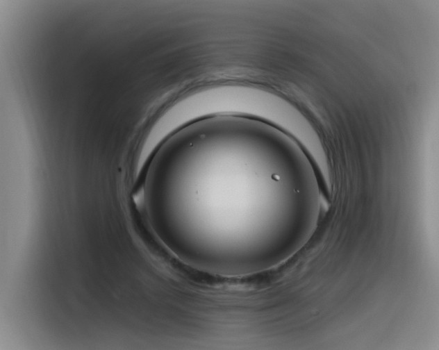 X0000115530448200911061443