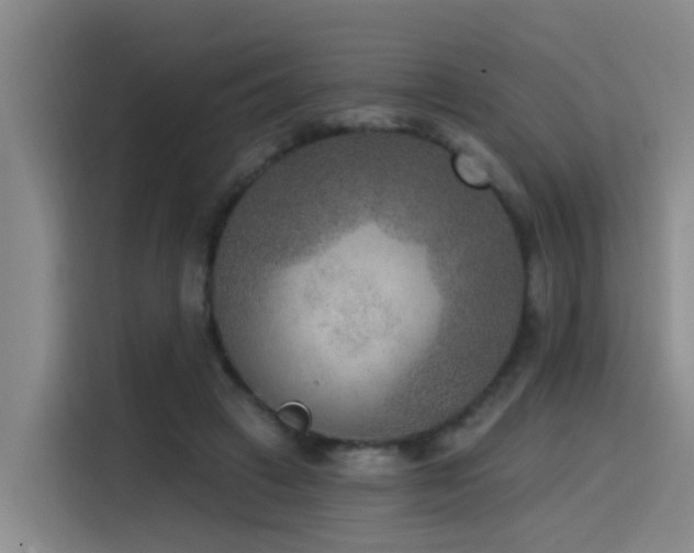 X0000115530449200911061443