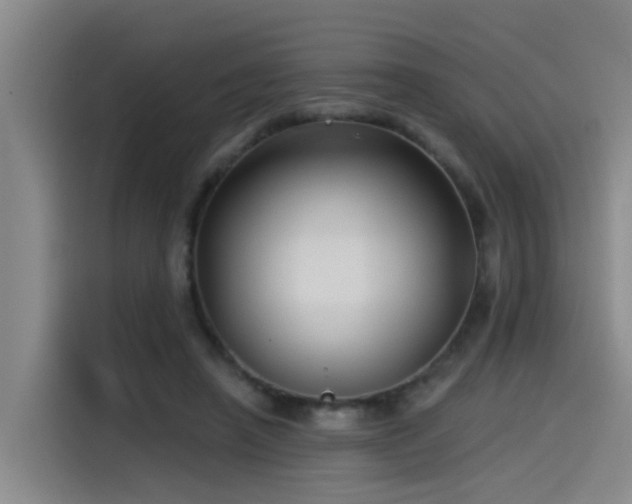 X0000115530450200911061443