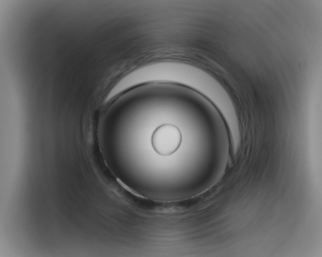 X0000115530452200911061443