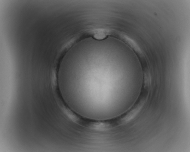 X0000115530453200911061443