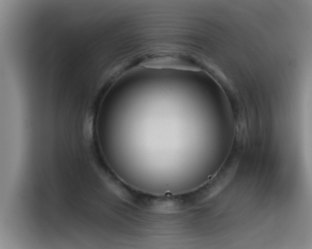 X0000115530454200911061443