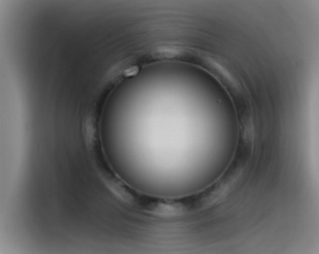 X0000115530455200911061443