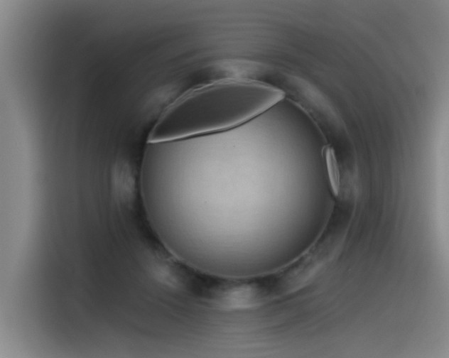 X0000115530456200911061443