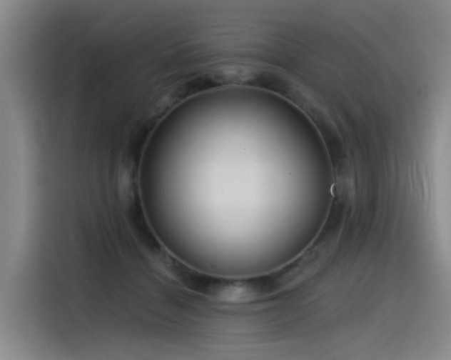 X0000115530460200911061443