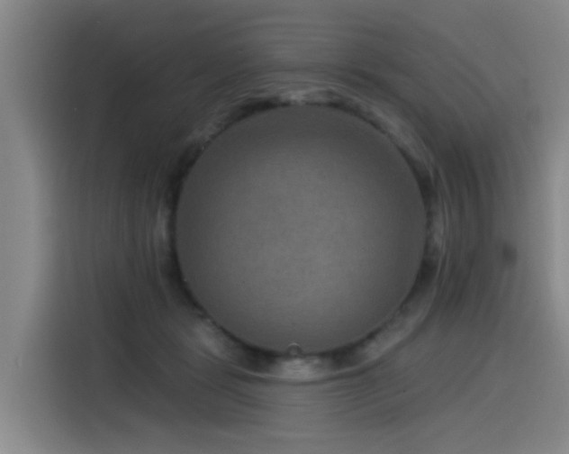 X0000115530461200911061443