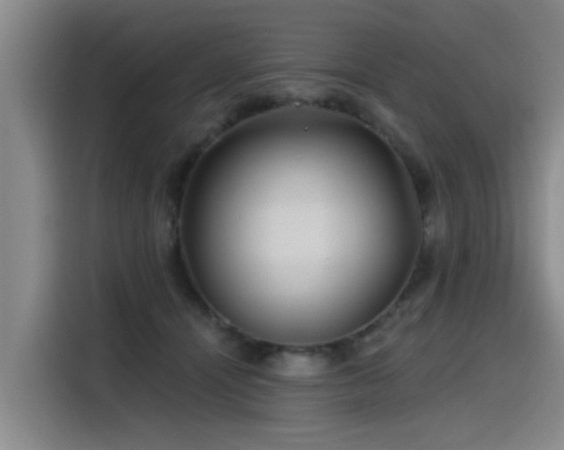 X0000115530464200911061444