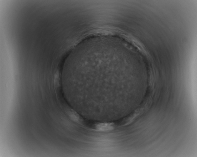 X0000115530465200911061444