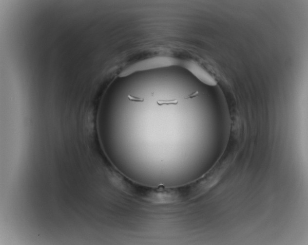 X0000115530466200911061444