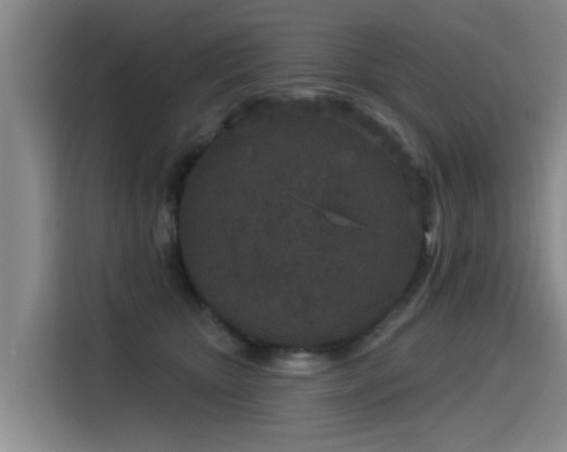 X0000115530467200911061444