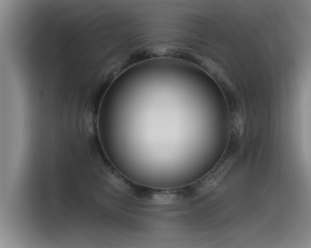 X0000115530470200911061444