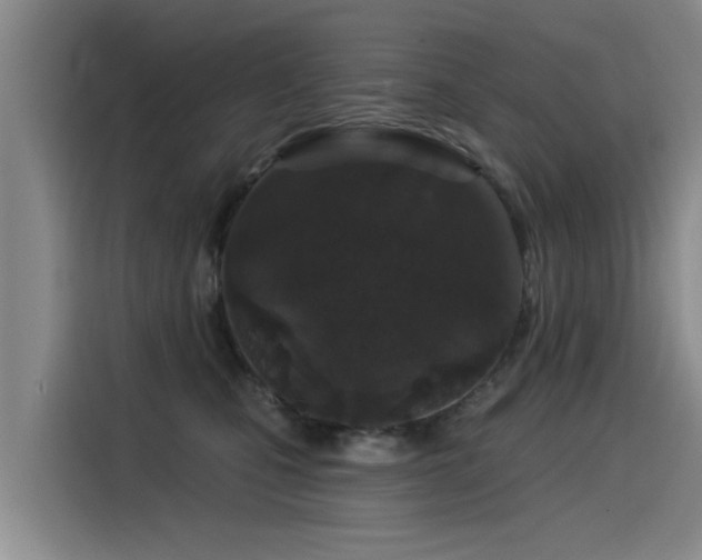 X0000115530471200911061444