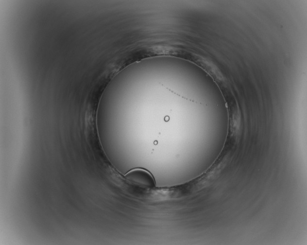 X0000115530473200911061444