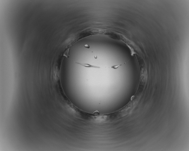 X0000115530474200911061444