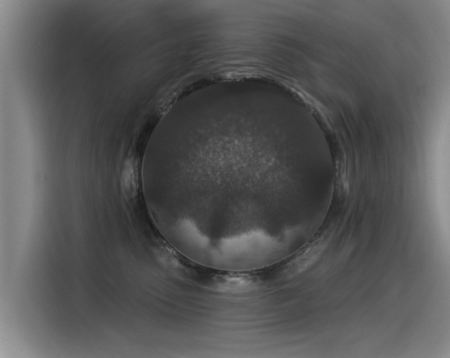 X0000115530475200911061444