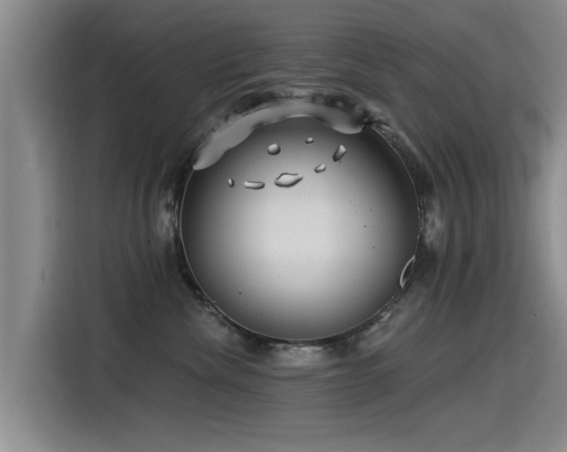 X0000115530476200911061444